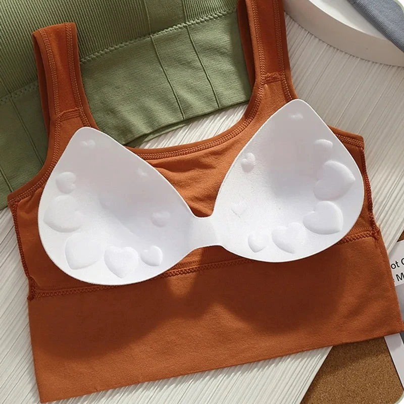 Brassière de sport sans coutures