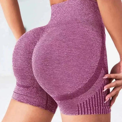 Short de Sport sans Couture