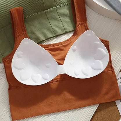 Brassière de sport sans coutures